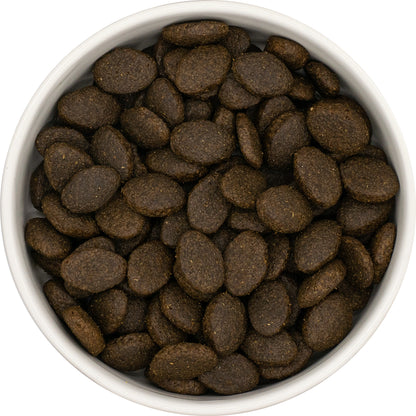 Super Premium Puppy (Large Breed) Blend - Salmon with Potato