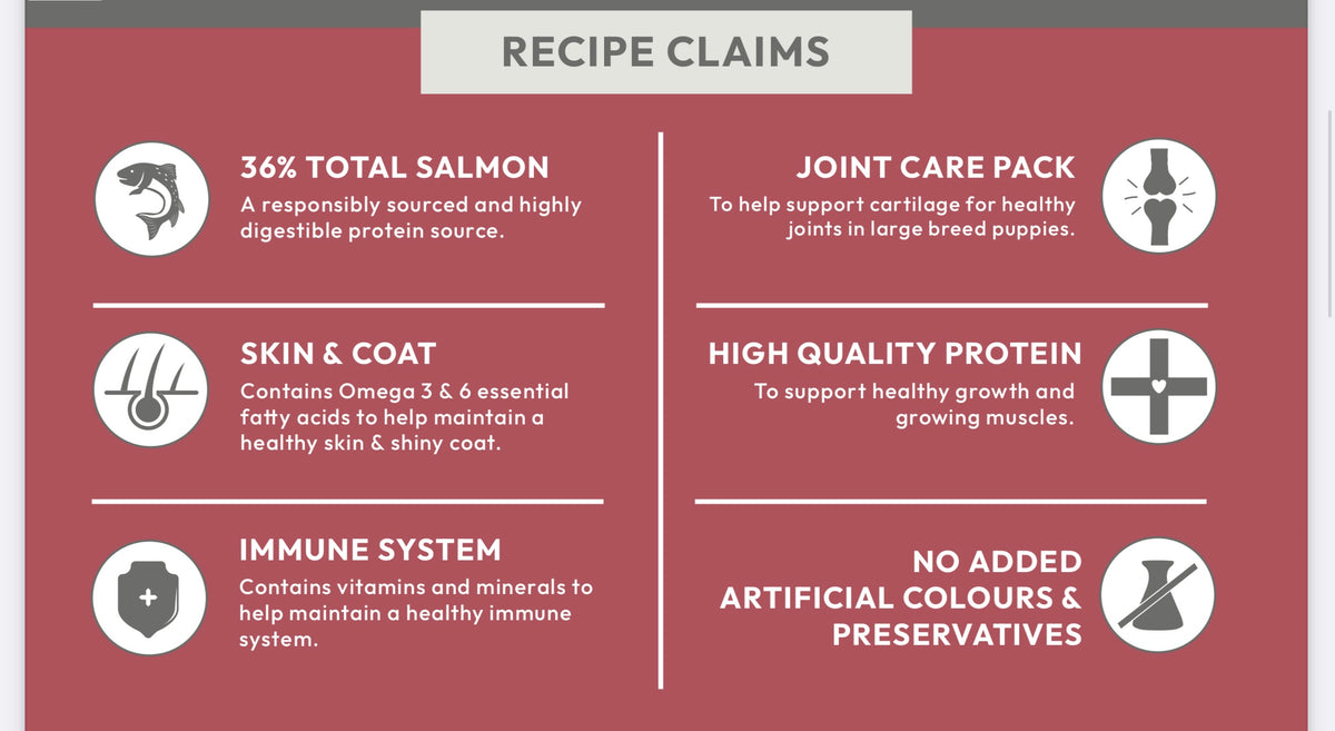 Super Premium Puppy (Large Breed) Blend - Salmon with Potato