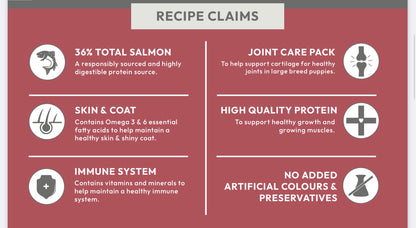 Super Premium Puppy (Large Breed) Blend - Salmon with Potato