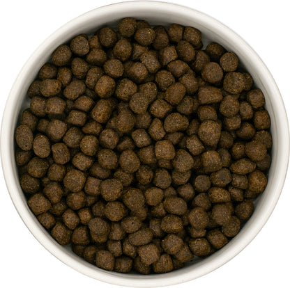 Grain Free Puppy (Large Breed) Blend - Salmon with haddock, white fish, sweet potato and asparagus