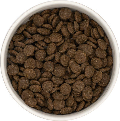 Grain Free Adult Blend - Lamb with sweet potato and mint